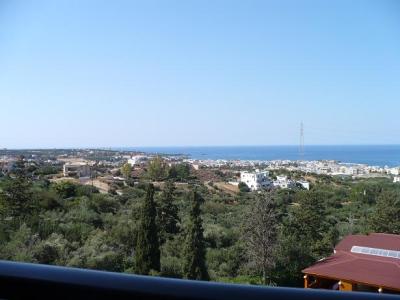 My view from the Oliva Restaurant